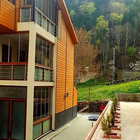 Aparthotel Talipoglu Apart Uzungöl Exterior foto