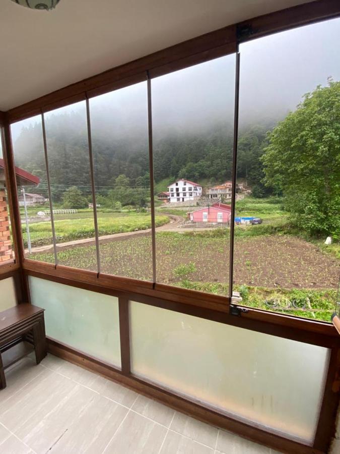 Aparthotel Talipoglu Apart Uzungöl Exterior foto
