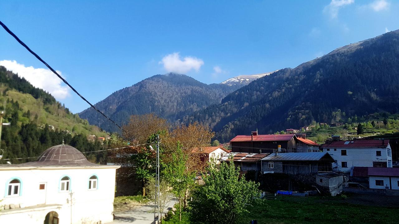 Aparthotel Talipoglu Apart Uzungöl Exterior foto