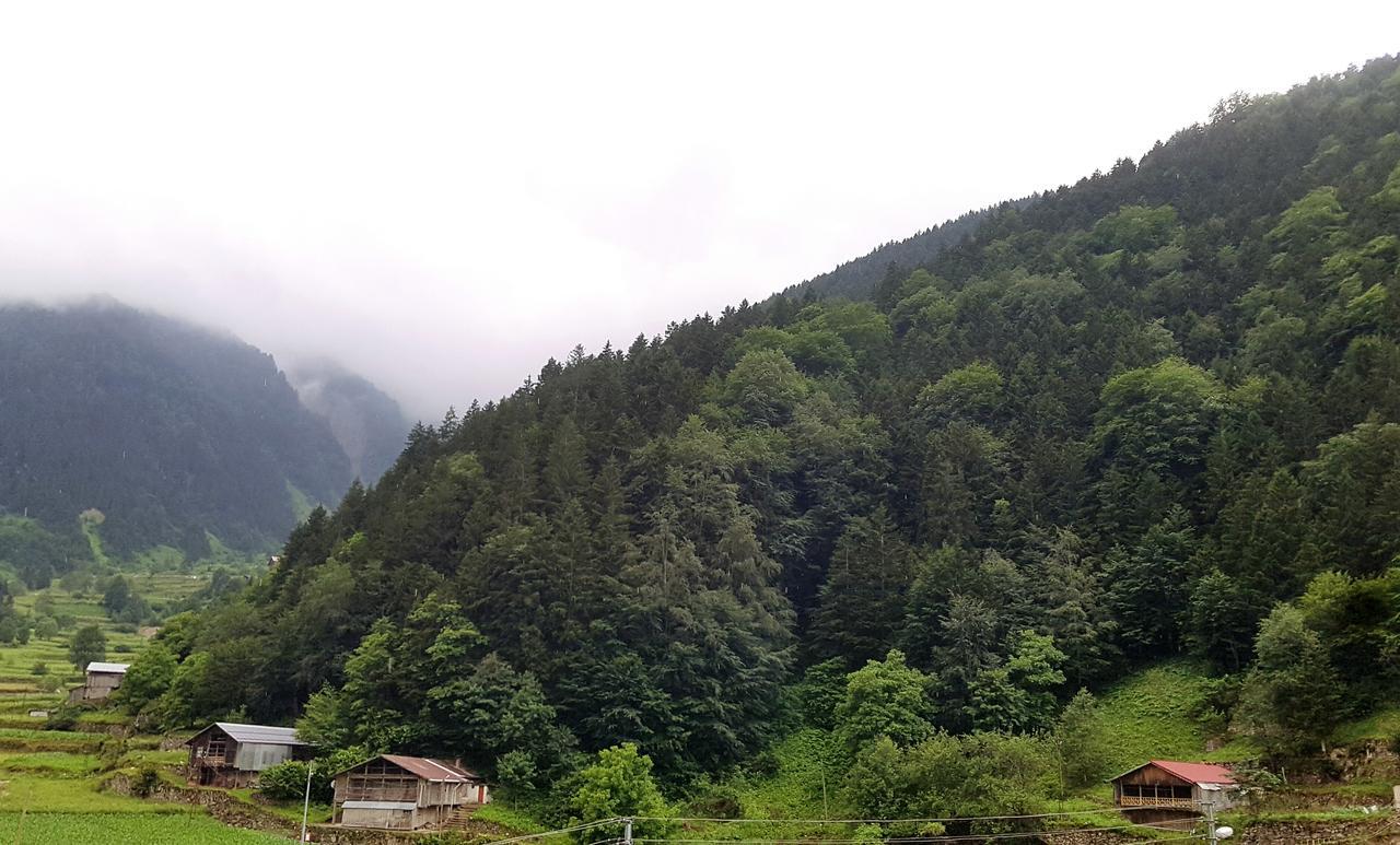 Aparthotel Talipoglu Apart Uzungöl Exterior foto