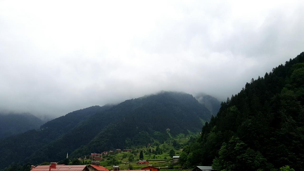 Aparthotel Talipoglu Apart Uzungöl Exterior foto